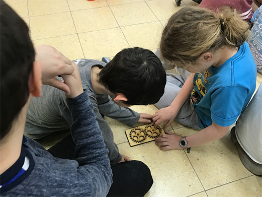 כחליל שרית לוי סדנאות חקלאות טבע וסביבה לילדים - רוצים פרפרים בסביבה